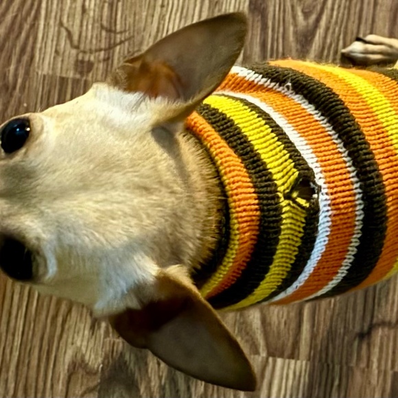 XS Dog Sweater - Picture 7 of 7